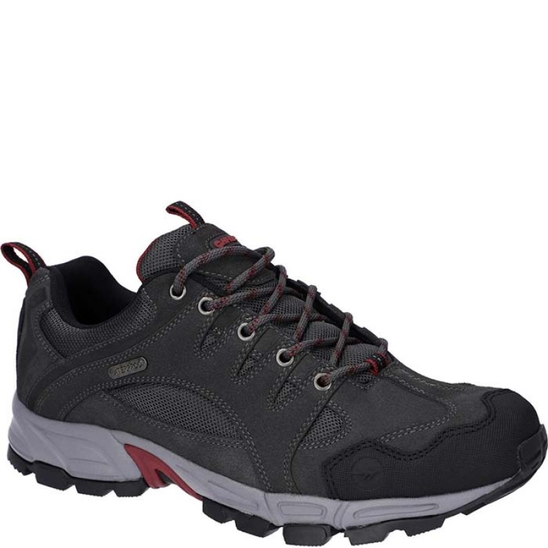 Tenis de Senderismo Hi-Tec Auckland Lite Hombre Grises | MX51-93