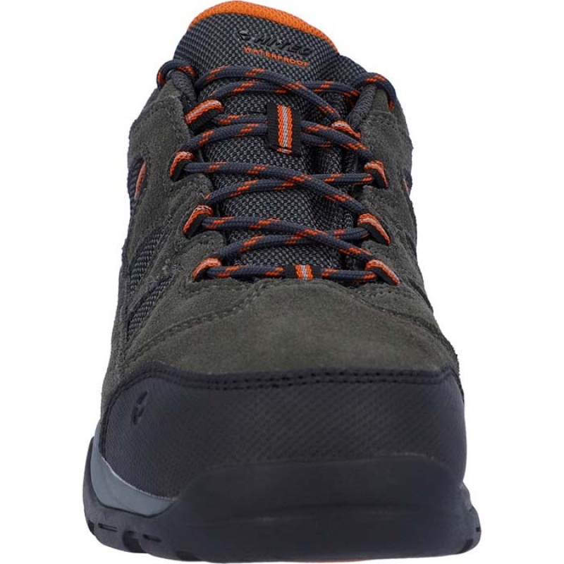 Tenis de Senderismo Hi-Tec Bandera II Low Anchos Hombre Grises | MX04-46