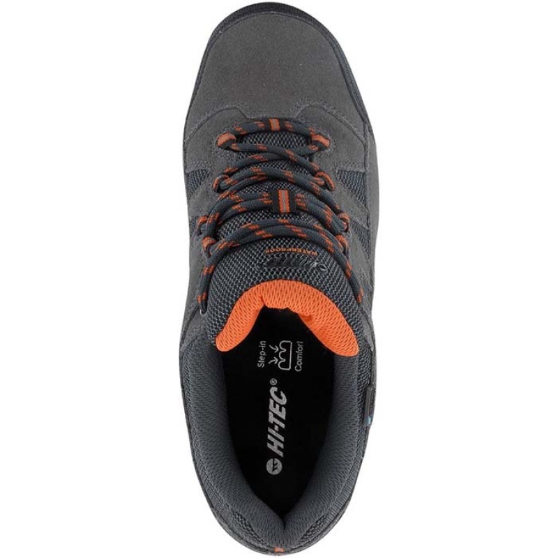 Tenis de Senderismo Hi-Tec Bandera II Low Anchos Hombre Grises | MX04-46