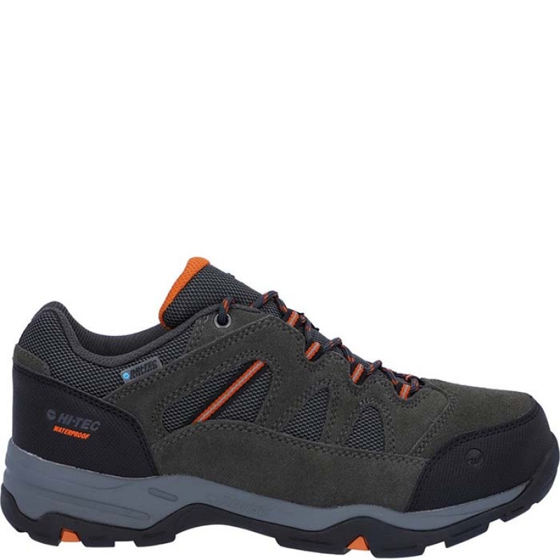 Tenis de Senderismo Hi-Tec Bandera II Low Anchos Hombre Grises | MX04-46