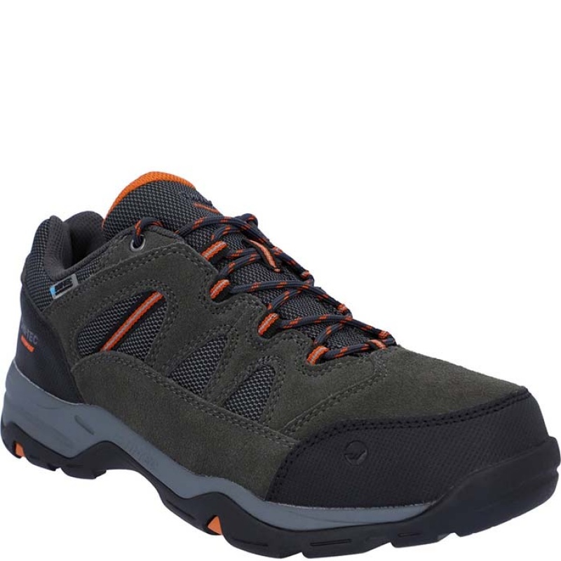 Tenis de Senderismo Hi-Tec Bandera II Low Anchos Hombre Grises | MX04-46